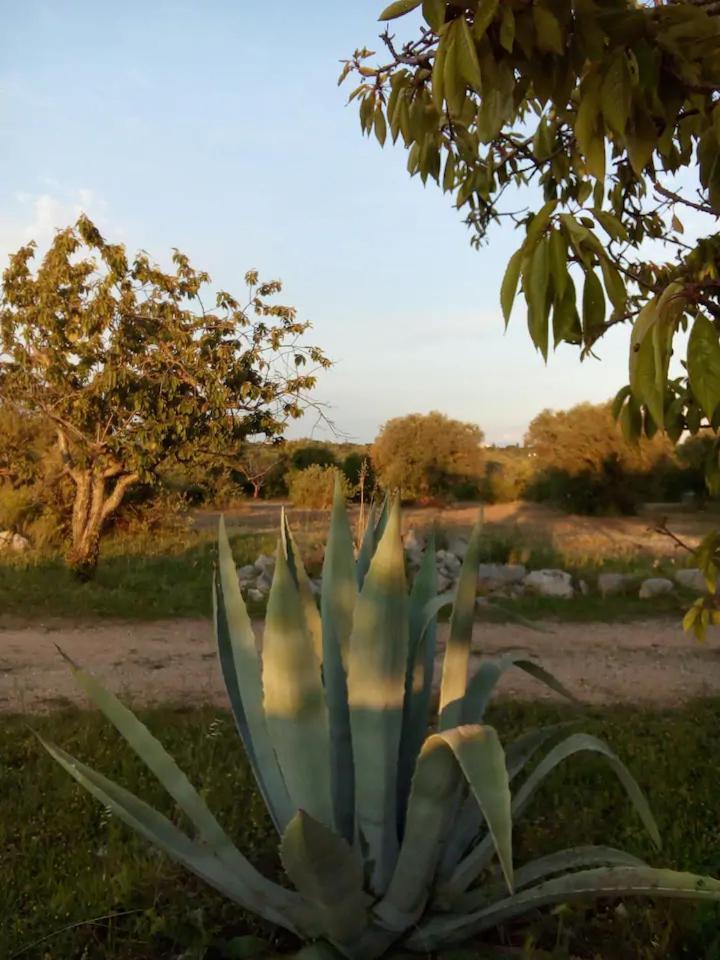 Masseria Fra Diavolo Guest House Castellana Grotte Ngoại thất bức ảnh