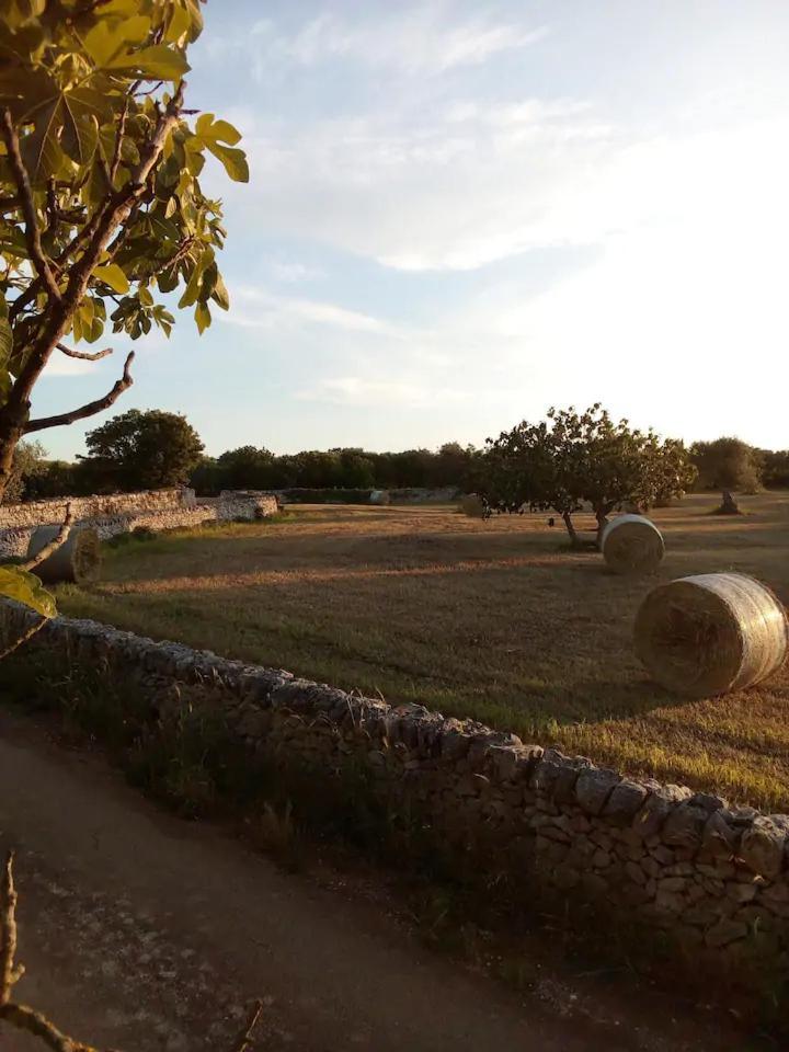 Masseria Fra Diavolo Guest House Castellana Grotte Ngoại thất bức ảnh
