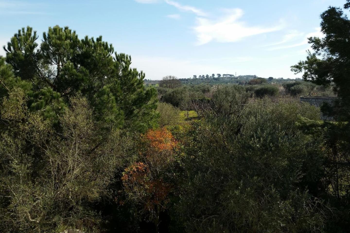 Masseria Fra Diavolo Guest House Castellana Grotte Ngoại thất bức ảnh