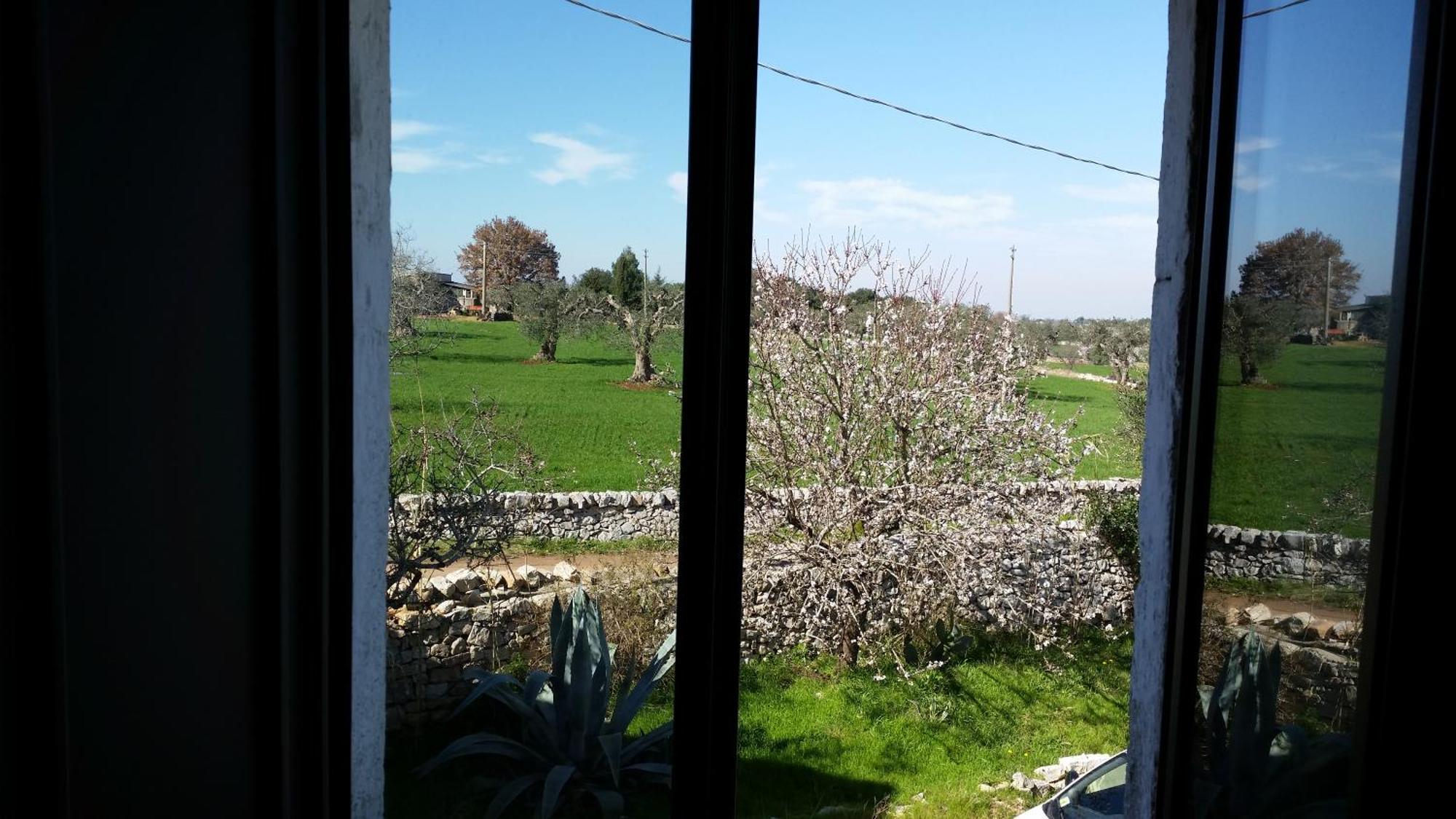 Masseria Fra Diavolo Guest House Castellana Grotte Ngoại thất bức ảnh