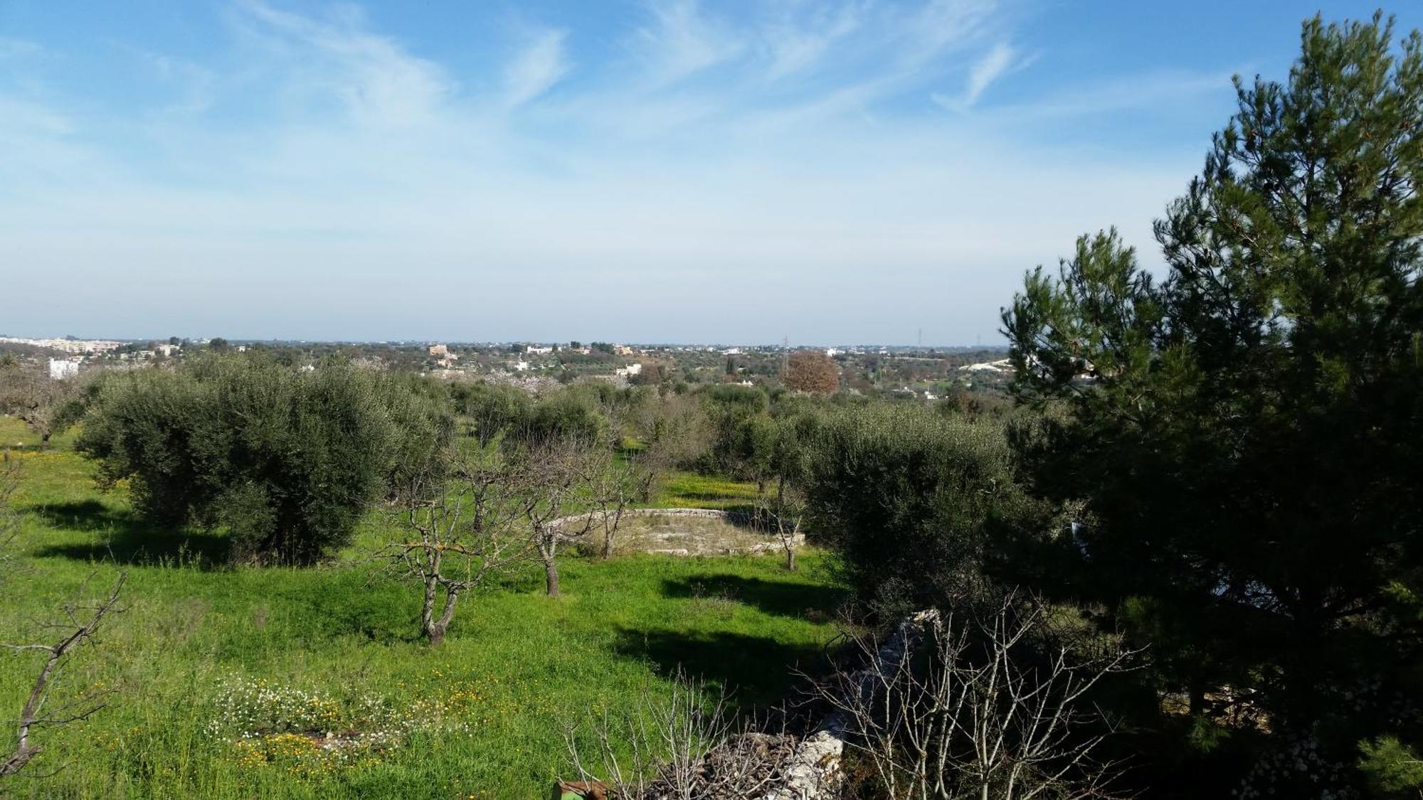 Masseria Fra Diavolo Guest House Castellana Grotte Ngoại thất bức ảnh